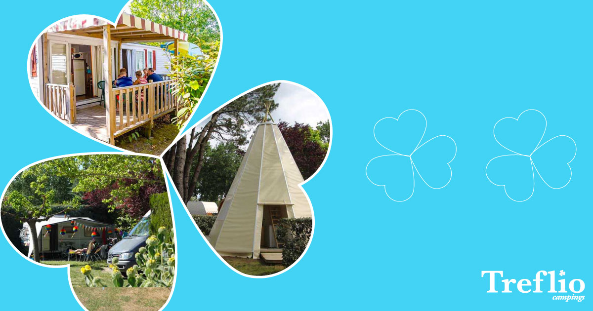 Treflio, qui sont-ils ?