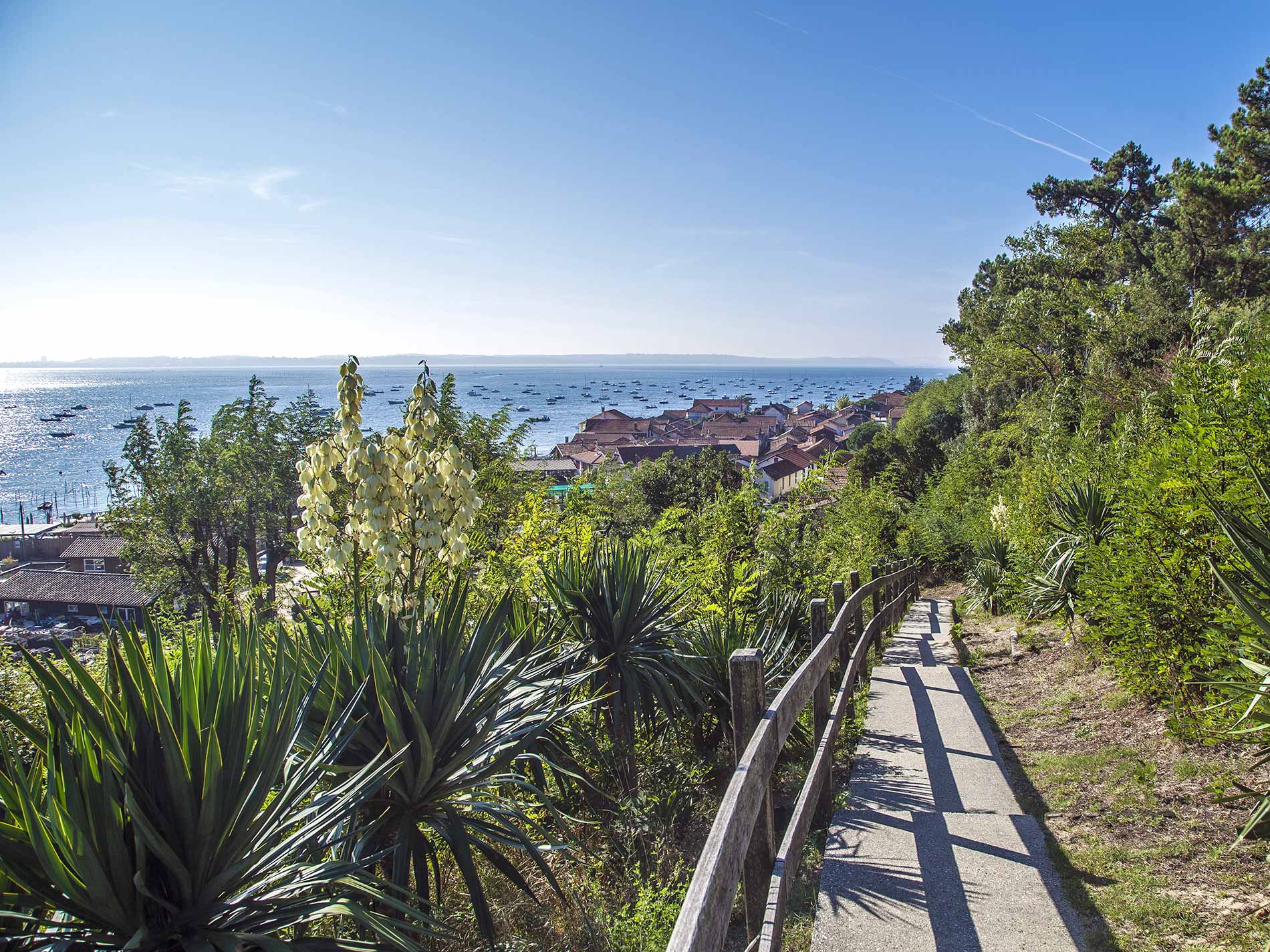 Top 3 des meilleurs campings proposant des promos près d&rsquo;Arcachon